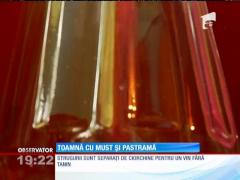 Viticultorii culeg roadele muncii