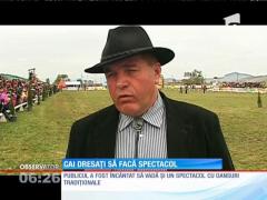 Caii dresaţi au făcut spectacol la "Zilele Ecvestre de la Gheorgheni"