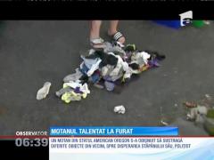 Un motan talentat la furat