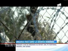Ungaria vrea vrea să ridice un zid anti-imigranţi şi la graniţa cu România