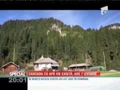 SPECIAL! Cascada cu apă vie există: are şapte izvoare