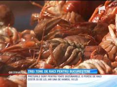Festivalul Fructelor de Mare. Bucureștenii, serviți cu trei tone de raci