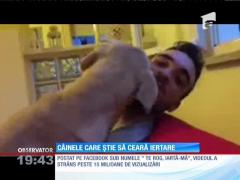 Câinele care știe să-și ceară iertare