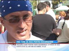 Observator 13 Weekend