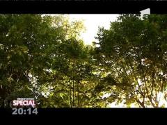 Special! Cel mai bun mod de relaxare este o plimbare în parc