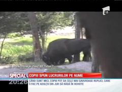 Special! Copiii spun lucrurilor pe nume