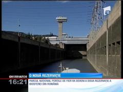 Parcul Natural Porţile de Fier va deveni a doua rezervaţie a biosferei din România