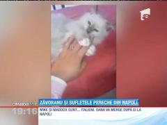 După şase săptămâni de doliu, Oana Zăvoranu şi-a găsit alinarea