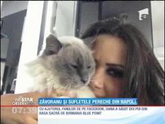 IMA Star Observator 04/10/2015