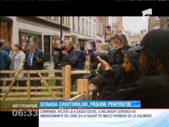 Strada croitorilor de elită din Londra a fost ocupată de o turmă de oi