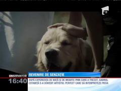 Videoclipul piesei "Ce zi liniştită!" marchează revenirea în muzică a lui Gabriel Cotabiţă