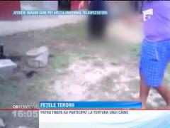 Cruzime greu de închipuit. Un câine a fost torturat de patru tineri din judeţul Brăila
