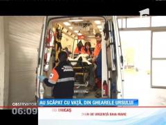 Doi oameni au fost atacaţi de urşi în judeţul Maramureş