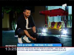 Observator 13 Weekend