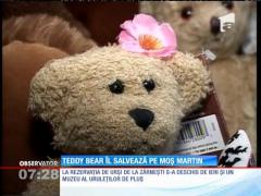 Muzeul ursuleților de pluș de la Zărneşti