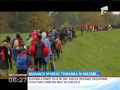 Croaţia a deschis frontiera cu Serbia pentru imigranţi
