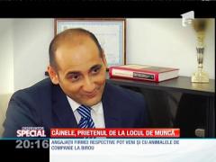 SPECIAL! Câinele, prietenul de la locul de muncă