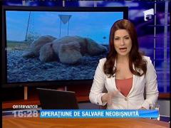 GESTUL IMPRESIONANT făcut de un POLIȚIST: "Primim tot felul de solicitări neobișnuite!"