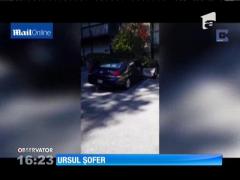 SUA: Un urs curajos a urcat la volanul unei maşini