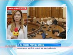 Elena Udrea s-ar putea întoarce după gratii