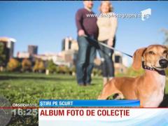 Reacţie incredibilă a unui câine înnebunit dupa atenţie