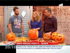 SPECIAL! Orice dovleac poate fi... geantă