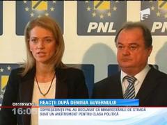 Liderii PNL vor alegerile anticipate