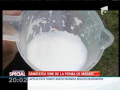 SPECIAL! Sănătatea vine de la ferma de măgari