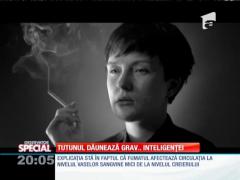 SPECIAL! Tutunul dăunează grav inteligenței