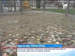 La Arad, în centrul oraşului, oamenii vor să strângă un munte de monede