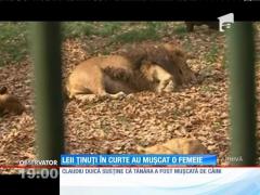 Tânără sfâșiată de lei pe moşia unui bogat executor judecătoresc