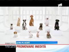Un cor format din căţei încearcă să redea tema muzicală din Războiul Stelelor!
