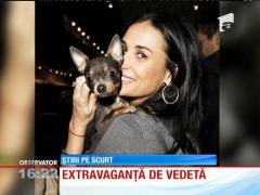 Demi Moore cheltuie lunar aproape 6.000 de dolari pe tratamentele de acupunctură ale câinelui său!