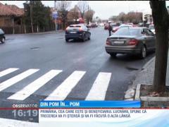 Incredibil! La Târgu Jiu a fost construită o trecerea de pietoni între doi pomi!