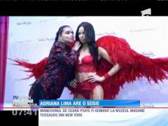 IMA Star Observator 1/12/2015