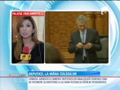 Comisia juridică: Raport favorabil la cererea pentru încuviințarea arestării preventive a lui Ioan Oltean