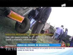 Preţul unui porc porneşte de la 7 lei kilogramul în viu, la marginea Capitalei