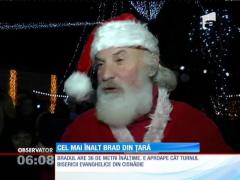 Cel mai înalt brad din ţară