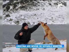Cristina Bucureştean continuă lupta pentru a purta tricolorul în tundra arctică
