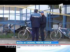 Descoperire macabră în Roman. Resturile unui cadavru găsite între garaje
