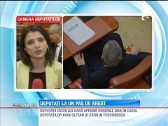 Deputații au început dezbaterile pe cererea DNA de încuviințare a arestării preventive a lui Ioan Oltean