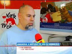 Bucureşti: Un hingher a fost filmat în timp ce ţară, cu brutalitate, mai mulţi câini amorţiţi cu tranchilizante