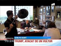 Donald Trump, atacat de un vultur