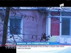 O femeie de 60 de ani a ajuns să conducă reţeaua traficanţilor de droguri din Botoşani