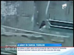 Un bărbat a  sărit dintr-un telescaun direct în cușca tigrilor dintr-un parc zoologic din China
