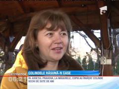 În Ţara Oaşului, fetele au plecat la colindat cu ceteraşii după ele