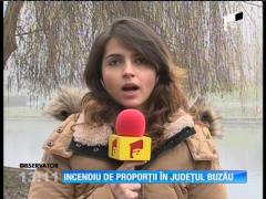 Incendiu violent intr-o padure din judetul Buzau