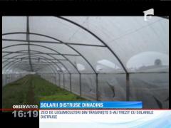 Solarii distruse intenționat. Oamenii îl acuză pe un fost paznic