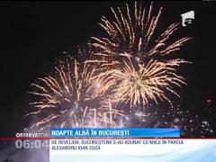 De Revelion, bucureștenii s-au adunat cu miile în parcul Alexandru Ioan Cuza