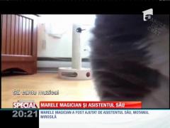 SPECIAL! Un motan magician